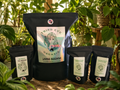 TeoGrow Kit